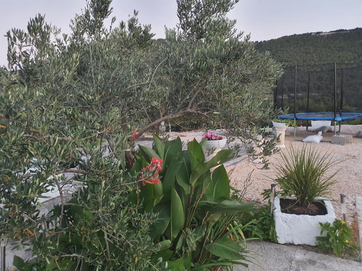 Apartman Mare شيبينيك المظهر الخارجي الصورة
