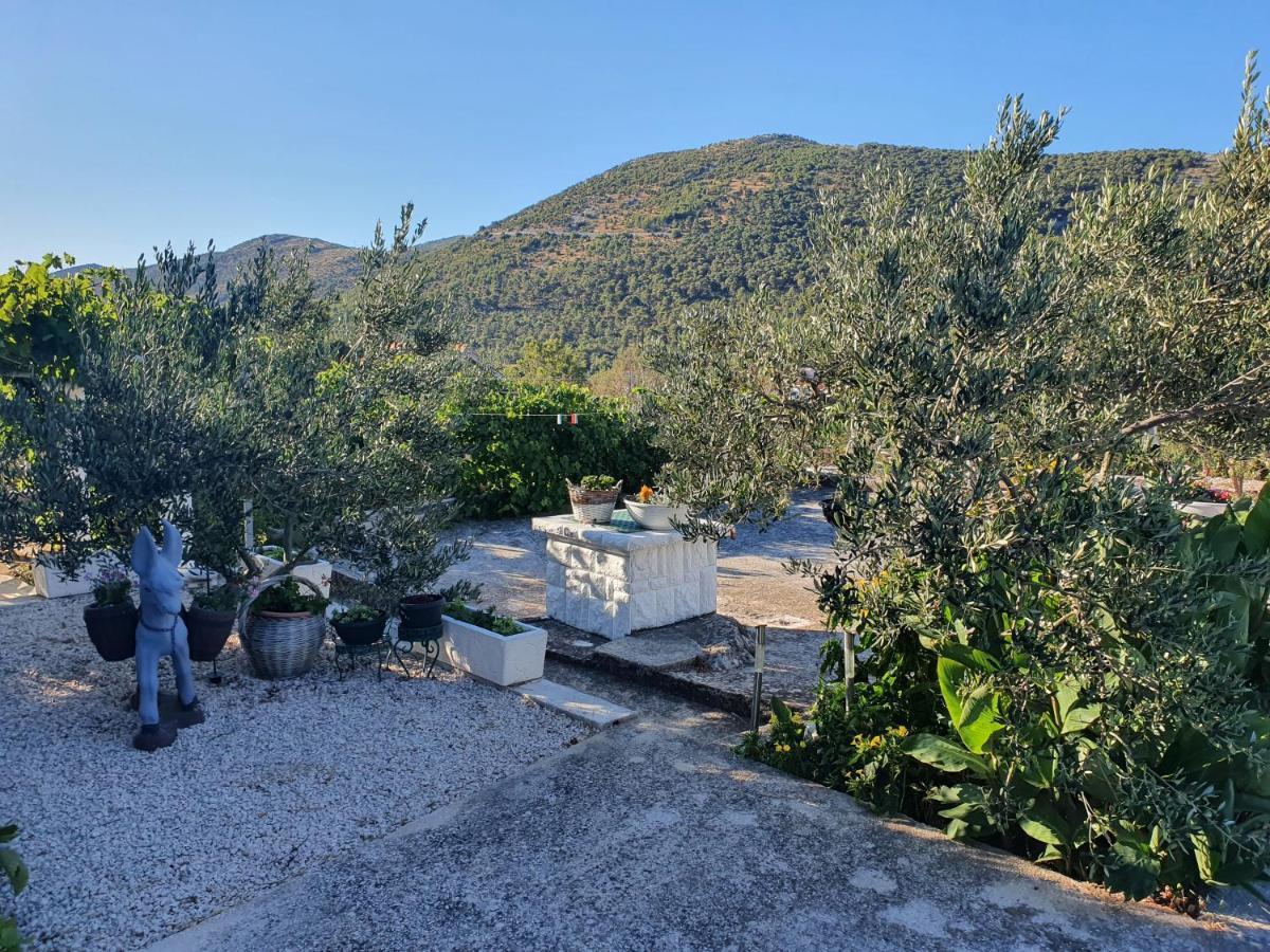 Apartman Mare شيبينيك المظهر الخارجي الصورة
