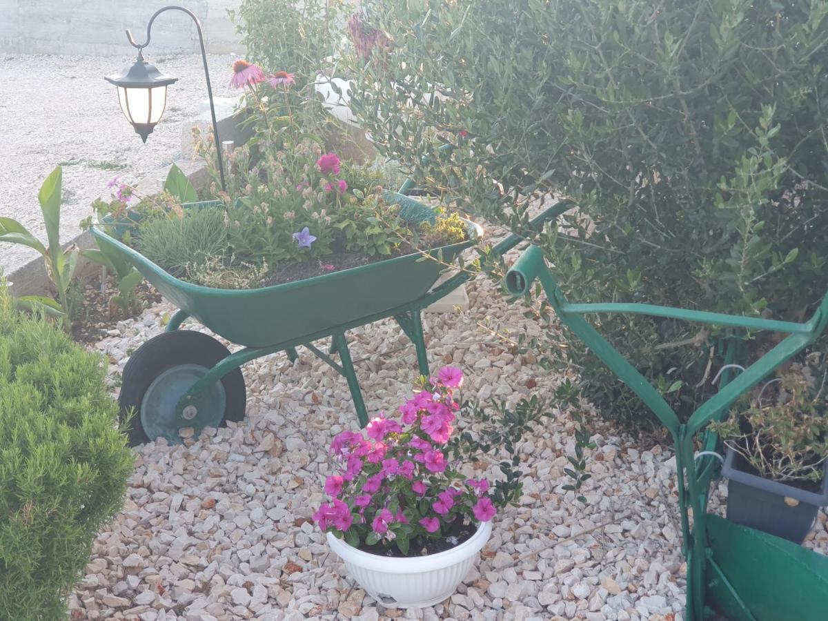 Apartman Mare شيبينيك المظهر الخارجي الصورة